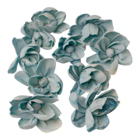 Shola pivónia 10ks. - Studená modrá