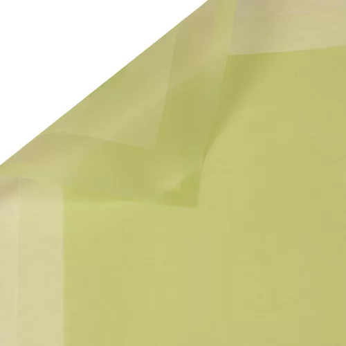 Matná fólia s rámčekom 58 x 58 cm, 20 ks. - Svetlozelená