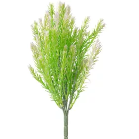   Cypruštekový krík, 7 stoniek, 35cm vysoký - Svetlozelený