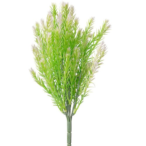 Cypruštekový krík, 7 stoniek, 35cm vysoký - Svetlozelený