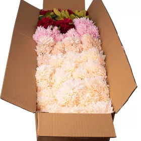   Hodvábna chryzantémová kytica, 7 stoniek, 42cm vysoká, priemer kvetu: 9cm - 30-kusový mix