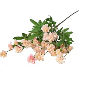   Záhradný klinček na stonke, 70cm vysoký - Ružovo-krémový