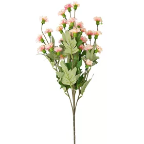   Záhradný klinček na stonke, 70cm vysoký - Ružovo-krémový