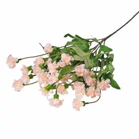 Záhradný klinček na stonke, 70cm vysoký - Svetloružový