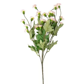 Záhradný klinček na stonke, 70cm vysoký - Svetloružový