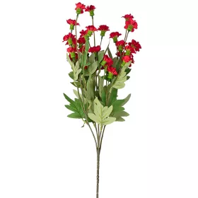 Záhradný klinček na stonke, 70cm vysoký - Bordová