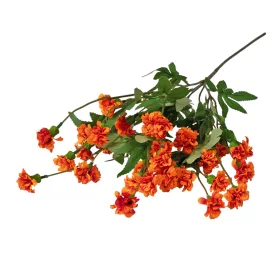 Záhradný klinček na stonke, 70cm vysoký - Oranžová