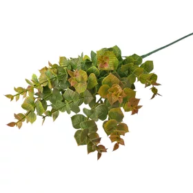   Eukalyptusový zväzok, 3 stoniek, výška 70cm - Zelená / Hnedá