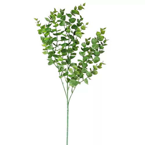 Eukalyptusový zväzok, 3 stoniek, výška 70cm - Tmavozelená