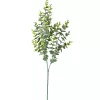 Eukalyptusový zväzok, 3 stoniek, výška 70cm - Zelená / Biela