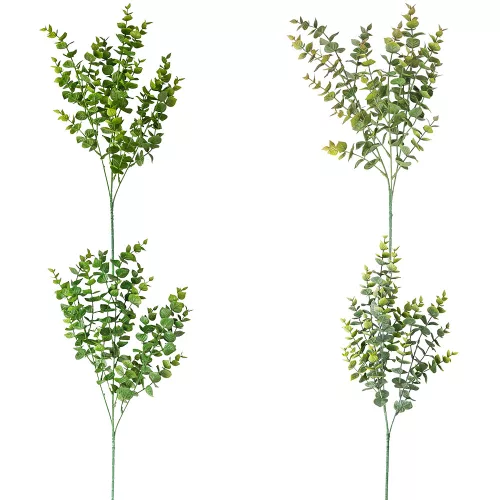 Eukalyptusový zväzok, 3 stoniek, výška 70cm - 72-kusový mix