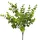 Eukalyptusový zväzok, 5 stoniek, výška 37cm - Svetlozelená