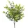Eukalyptusový zväzok, 5 stoniek, výška 37cm - Zelená / Svetlozelená