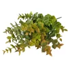 Eukalyptusový zväzok, 5 stoniek, výška 37cm - Zelená / Hnedá