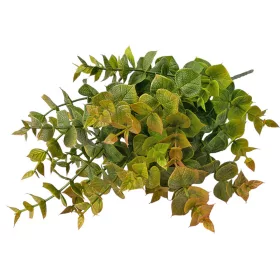   Eukalyptusový zväzok, 5 stoniek, výška 37cm - Zelená / Hnedá