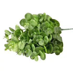   Eukalyptusový zväzok, 5 stoniek, výška 37cm - Tmavozelená