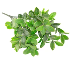   Eukalyptusový zväzok, 7 stoniek, výška 34cm - Svetlozelená