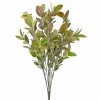Eukalyptusový zväzok, 7 stoniek, výška 34cm - Zelená / Hnedá