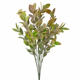   Eukalyptusový zväzok, 7 stoniek, výška 34cm - Zelená / Hnedá