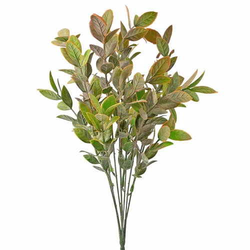 Eukalyptusový zväzok, 7 stoniek, výška 34cm - Zelená / Hnedá
