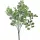 Eukalyptusový zväzok, 7 stoniek, výška 34cm - Svetlozelená