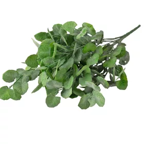   Eukalyptusový zväzok, 7 stoniek, výška 34cm - Tmavozelená