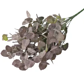   Eukalyptusový zväzok, 7 stoniek, výška 34cm - Zelená / Fialová