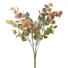   Eukalyptusový zväzok, 7 stoniek, výška 34cm - Zelená / Oranžová