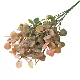   Eukalyptusový zväzok, 7 stoniek, výška 34cm - Zelená / Oranžová