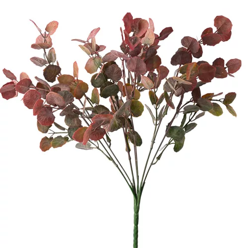 Eukalyptusový zväzok, 7 stoniek, výška 34cm - Zelená / Bordová