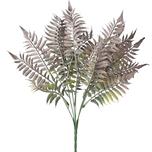 Papraďový zväzok, 7 stoniek, výška 41cm - Zelená / Fialová