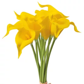 Real touch kala zväzok, 10 stoniek, výška 36cm - Žltá