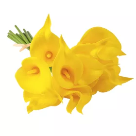 Real touch kala zväzok, 10 stoniek, výška 36cm - Žltá