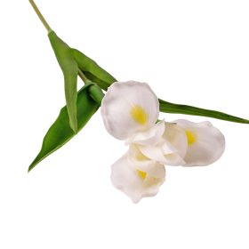 Real touch iris, 1 stonka, výška 58cm - Biela