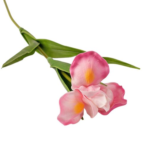Real touch iris, 1 stonka, výška 58cm - Ružová