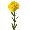 Dália, 1 stonka, výška 50cm - Žltá