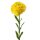 Dália, 1 stonka, výška 50cm - Žltá