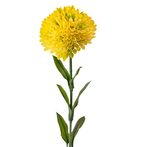 Dália, 1 stonka, výška 50cm - Žltá