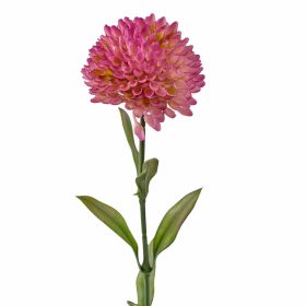 Dália, 1 stonka, výška 50cm - Fialová