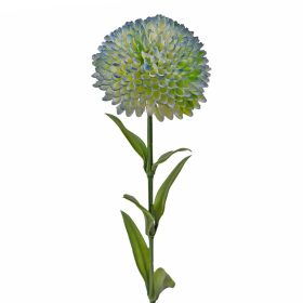 Dália, 1 stonka, výška 50cm - Modrá