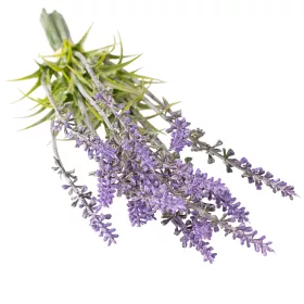 Levanduľový zväzok, výška 30cm - Tmavofialová