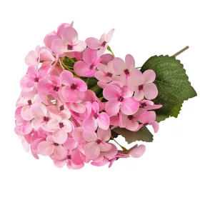 Hortenzia hodvábny zväzok, výška 34cm - Svetloružová