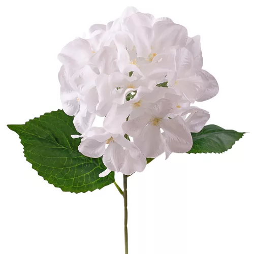 Hortenzia hodvábny zväzok, výška 60cm - Biela