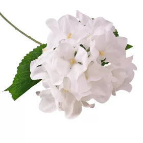 Hortenzia hodvábny zväzok, výška 60cm - Biela