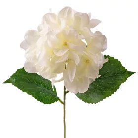 Hortenzia hodvábny zväzok, výška 60cm - Krémová