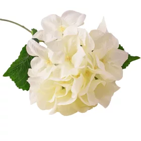 Hortenzia hodvábny zväzok, výška 60cm - Krémová