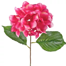   Hortenzia hodvábny zväzok, výška 60cm - Biela / Cyklámenová