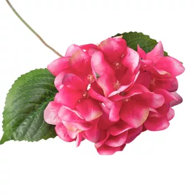   Hortenzia hodvábny zväzok, výška 60cm - Biela / Cyklámenová