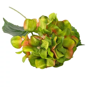 Hortenzia hodvábny zväzok, výška 60cm - Zelená