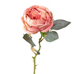 Pivonka hodvábna, 1 stonka, výška 51cm - Broskyňová